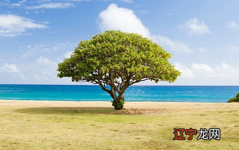 大门冲着马路该怎么办?大门对着马路的好吗