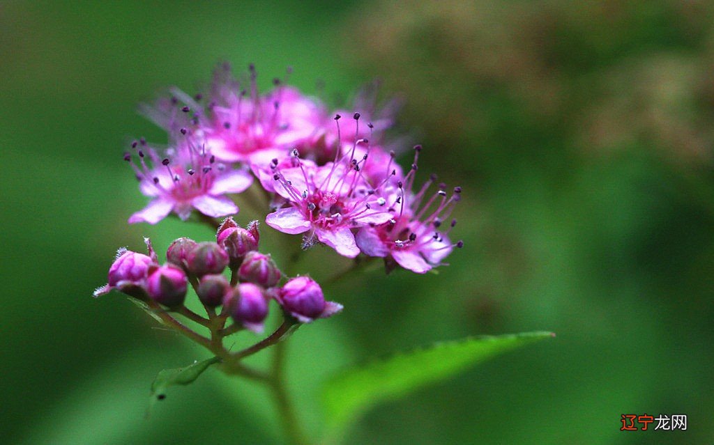 能让摩羯心动的星座,也值得我们去深交