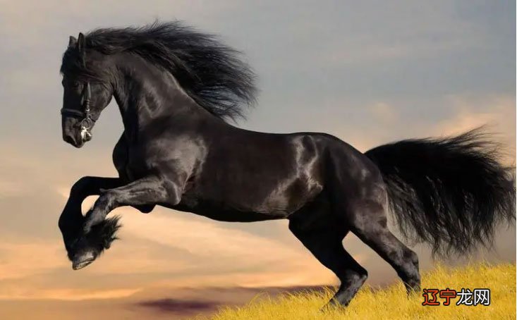 2002年属马佩戴什么吉祥物好，这几样是首选(细解)