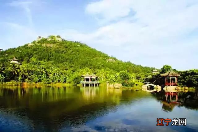 竹之道:中虚圆通在道教哲学视界,“竹”作为“道”的物化象征和符号载体而存在