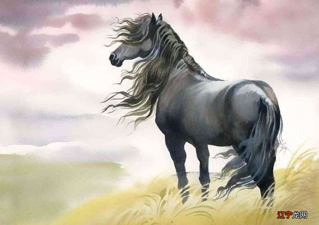 属马女要避开属羊男