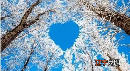 风水堂：八字、教命理学的学习班