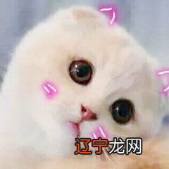 孕期被猫抓了是什么意思?孕妇被家猫出血