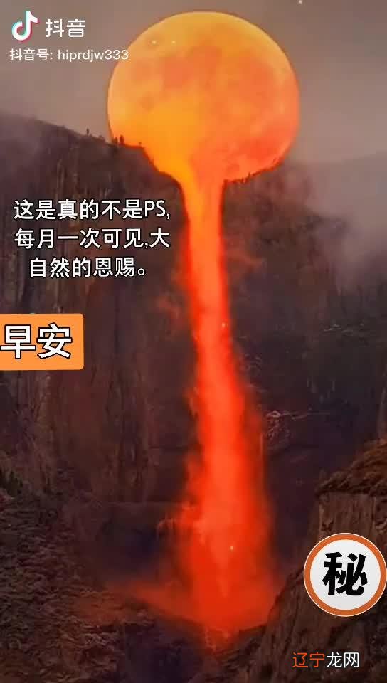 吃饭的时候，你会走吗？