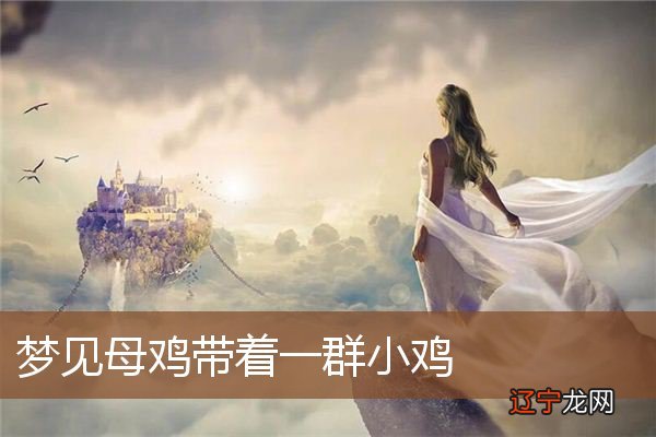 周公解梦：梦见小鸡，表示幸福的事业，但必须不惜耗费体力