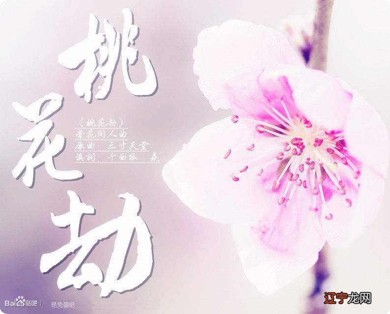 盲派命理高级教材_宋英成高级命理讲义_高级命理学劫财