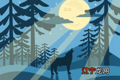 2016年7月20日 中国国际周易联合会会长是谁?