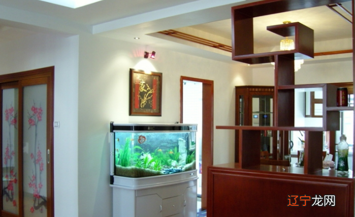 慈世堂：客厅风水摆件及禁忌貔貅摆放禁忌！