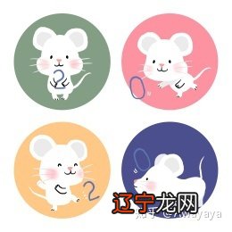 如何取的吧！属鼠的人怎样起名？的取名方法