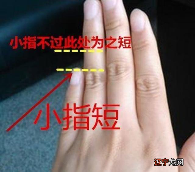 食指形状长大坚挺的人,代表幼年时期运势顺利,