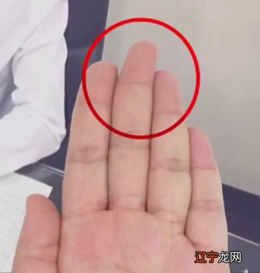 食指形状长大坚挺的人,代表幼年时期运势顺利,