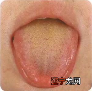 舌短风水堂:舌短愚鲁，舌头短三分