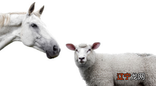 今年29岁属什么生肖2019年岁数29的对应生肖