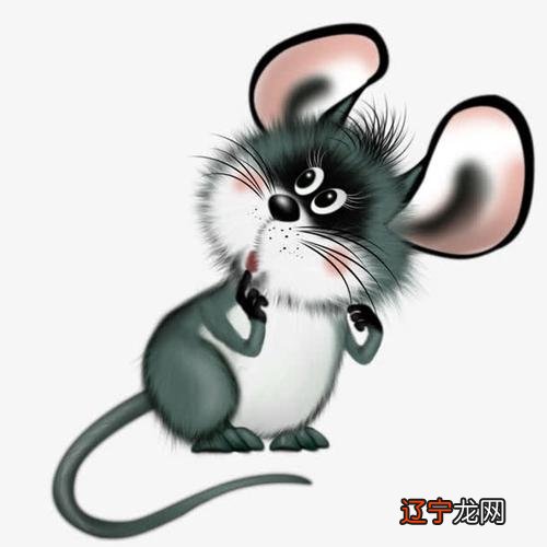 属鸡几月属鸡人2021年农历6月运势星座人