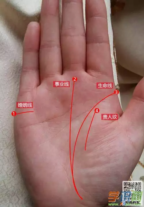 怎么看手相图解男人的左手的手相图解,你知道吗?