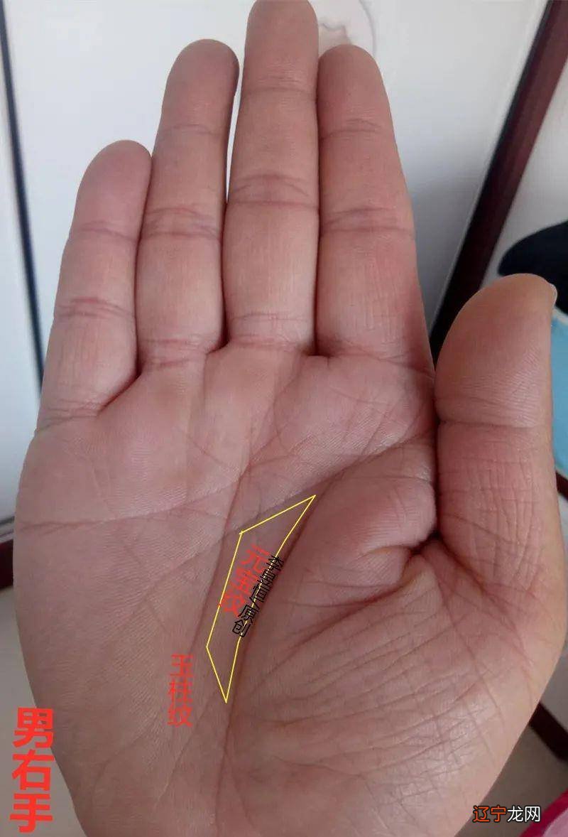 怎么看手相图解男人的左手的手相图解，你知道吗？