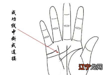 怎么看手相图解男人的左手的手相图解,你知道吗?