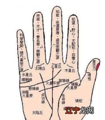 怎么看手相图解男人的左手的手相图解,你知道吗?