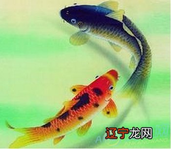 风水堂:梦见鱼是什么意思?