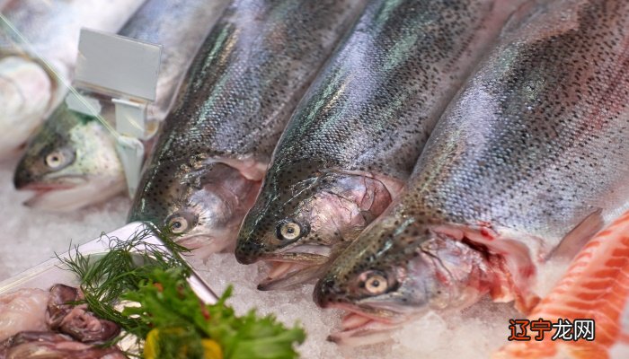 组图 梦见捉鱼,预示着生活会幸福吗?