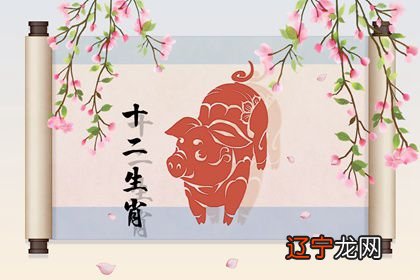 2019年农历正月出生的男孩命好不好?运势好还是坏