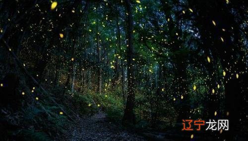 贵气和霸气的星座是谁呢?来看吧!!