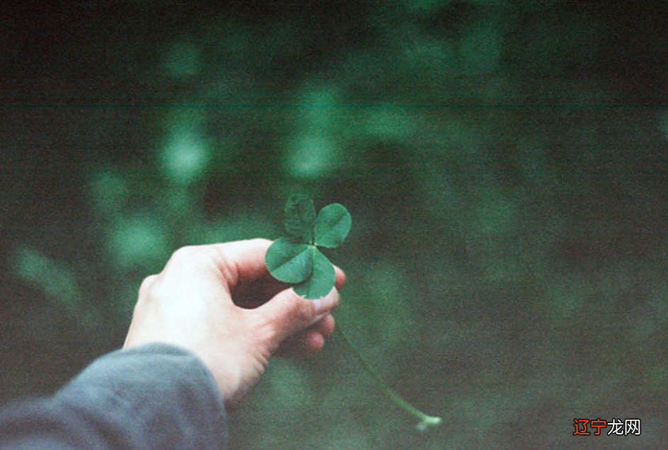 附对策 如何判断12星座的段位高低？！