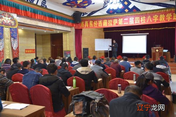 高级提升班 海真四柱八字命理学【海真易经学院】