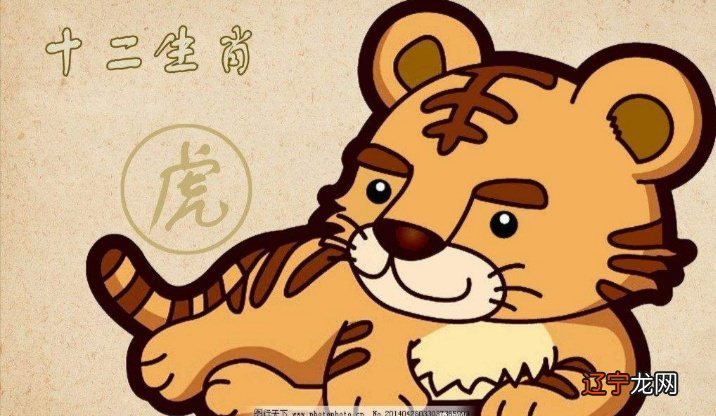 2022年虎年到来之际，盘点一下到来之际的相关文章！！