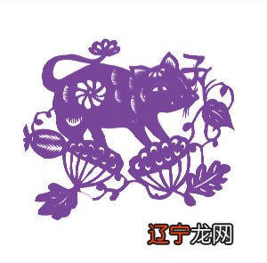 2019年生肖运势详解,这是怎么回事挨个十二属的运势!