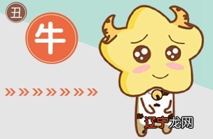 12生肖2019年属牛_2019年3月23日属什么生肖_2019年一月属什么生肖