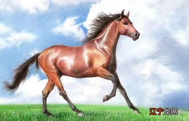 1978年属马的人年运势是怎样的吧的?