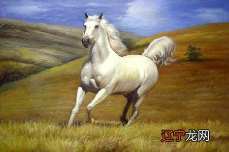 1978年属马的人年运势是怎样的吧的?