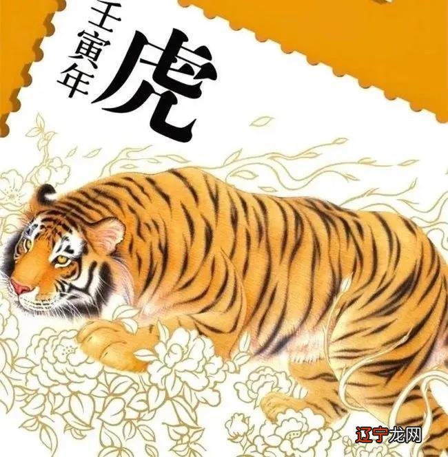 一出生就被好“天时”庇护,顺顺利利地长大的生肖