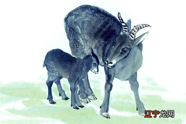 三月出生的属羊人，财源利达，万事吉祥，享自然之幸福