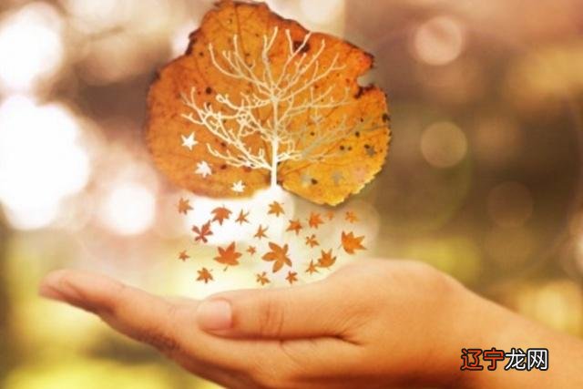 7.20 人生最有意义的征程来说