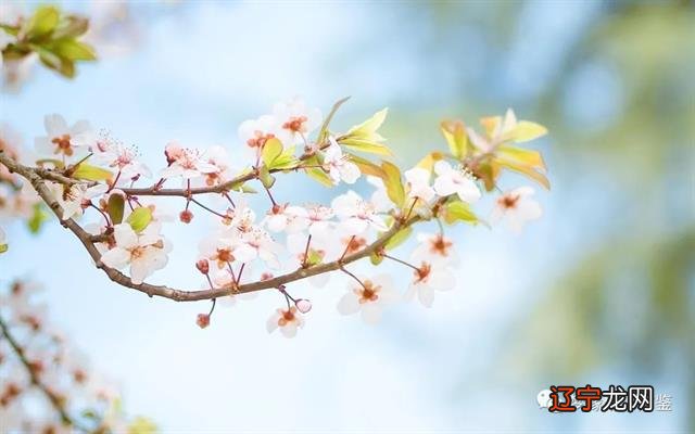 风水堂:如何看八字格局的高低