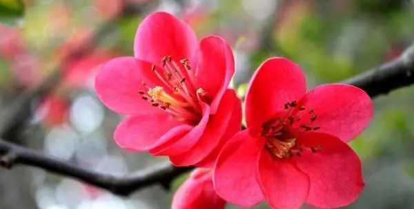 十二星座和哪个星座在一起,感情会更长久?