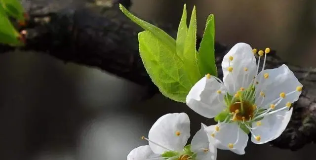 十二星座和哪个星座在一起,感情会更长久?