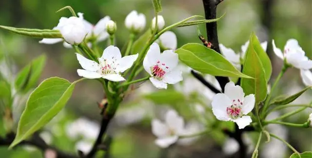 十二星座和哪个星座在一起,感情会更长久?