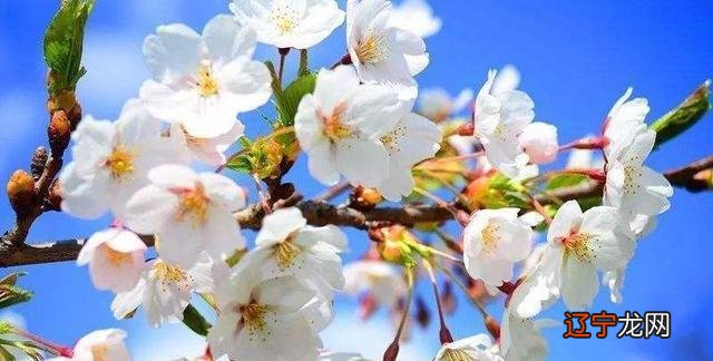 十二星座和哪个星座在一起,感情会更长久?