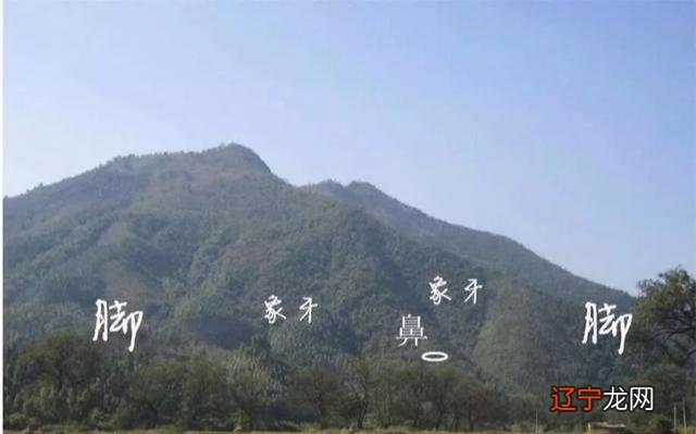 风水堂:八字阴宅在官杀,说明祖坟已分家