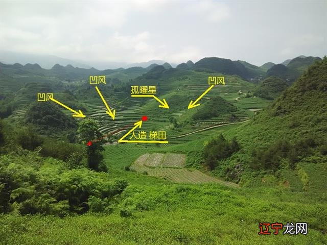 风水堂:八字阴宅在官杀,说明祖坟已分家