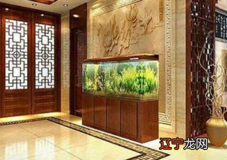 慈世堂：客厅鱼缸摆放方位有讲究，谨慎养鱼