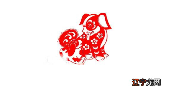 组图 有人人年人的全年运势年属狗运势运程