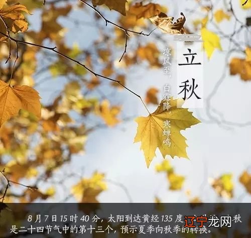 你知道在古代都有哪些传统民俗吗？你了解多少？