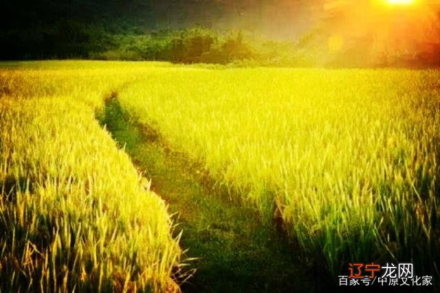 你知道在古代都有哪些传统民俗吗？你了解多少？