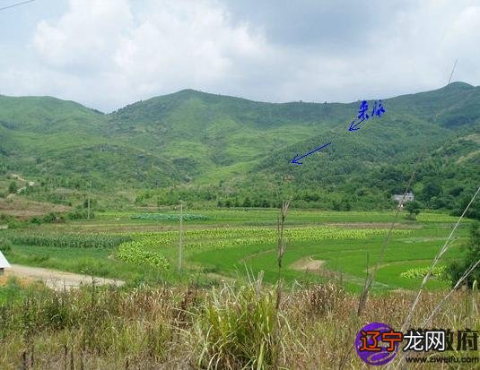 【李向东】传统风水也叫的学问和技术理念