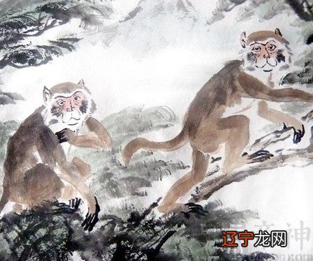 属猴人活泼开朗，有侠义心肠，人际关系很好的生肖