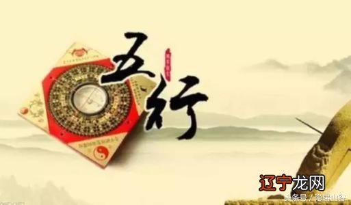 图 学历的高与底,八字里藏玄机